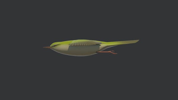 Bush Warbler