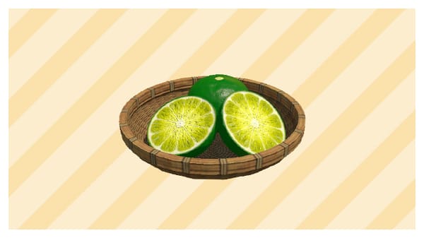 Tokushima Souvenir
