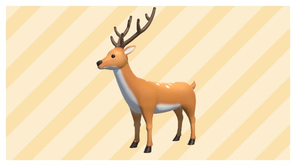Nara